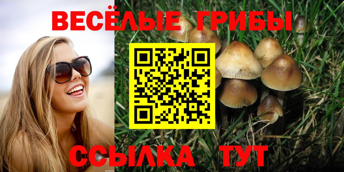 Галлюциногенные грибы мухоморы  купить наркотик  Вход с VPN  Новосибирск  Псилоцибиновые грибы мицелий 
