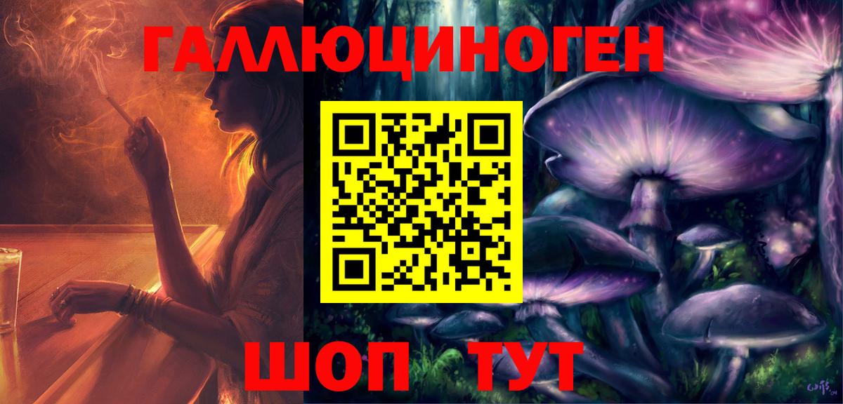 Галлюциногенные грибы Psilocybine cubensis Новосибирск